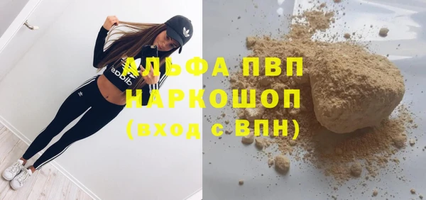 прущие грибы Богданович