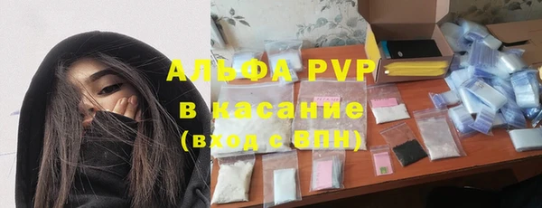 шишки Белоозёрский