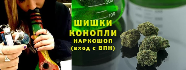 шишки Белоозёрский