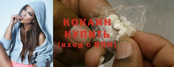 шишки Белоозёрский
