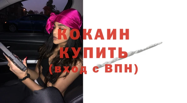 шишки Белоозёрский