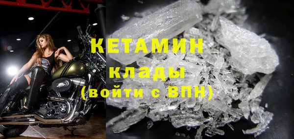 прущие грибы Богданович