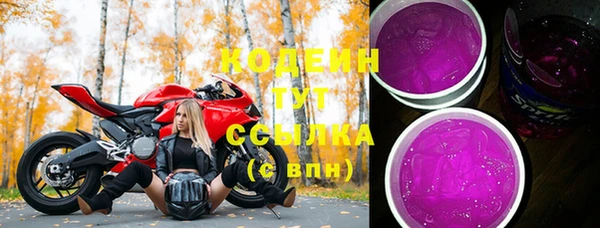 шишки Белоозёрский