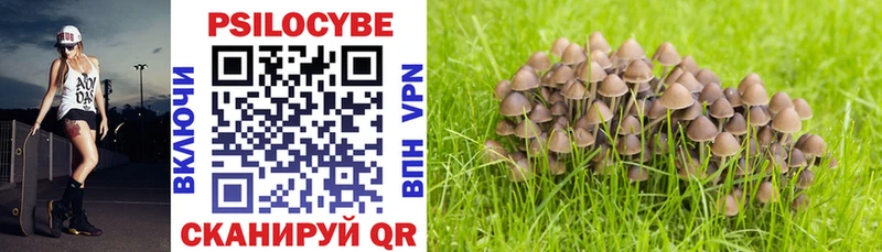 Галлюциногенные грибы Cubensis  Батайск 